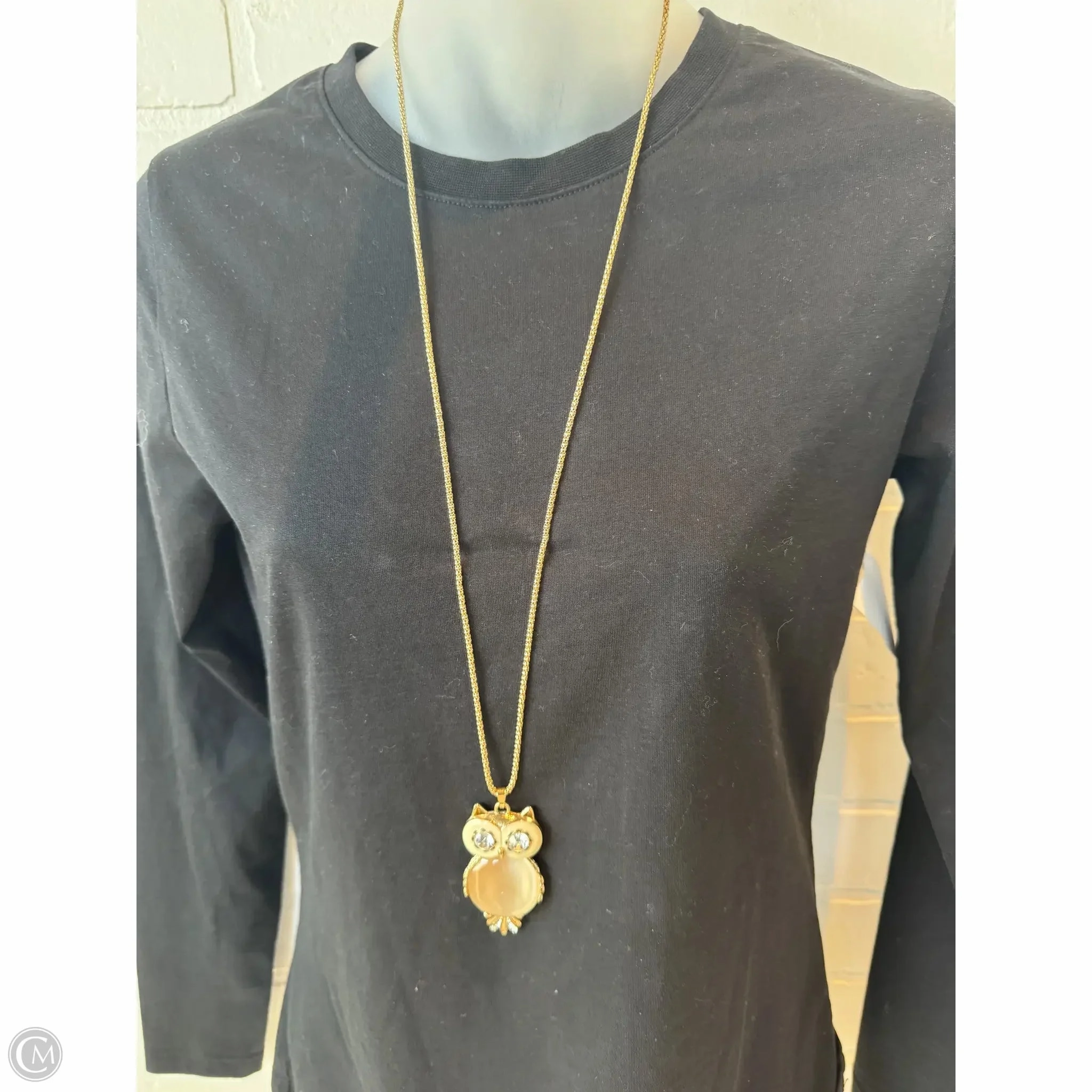 Necklace Pendant By Clothes Mentor
