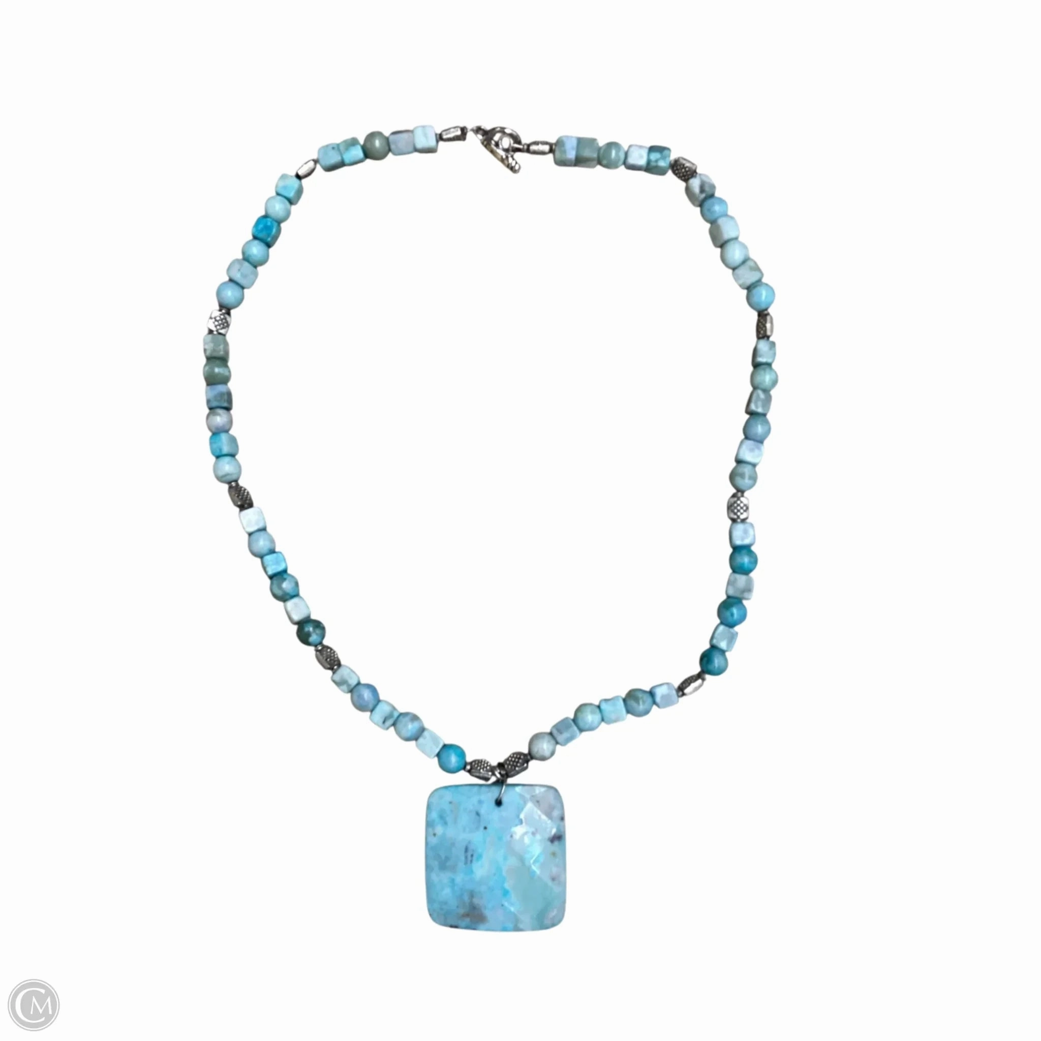 Necklace Pendant By Clothes Mentor