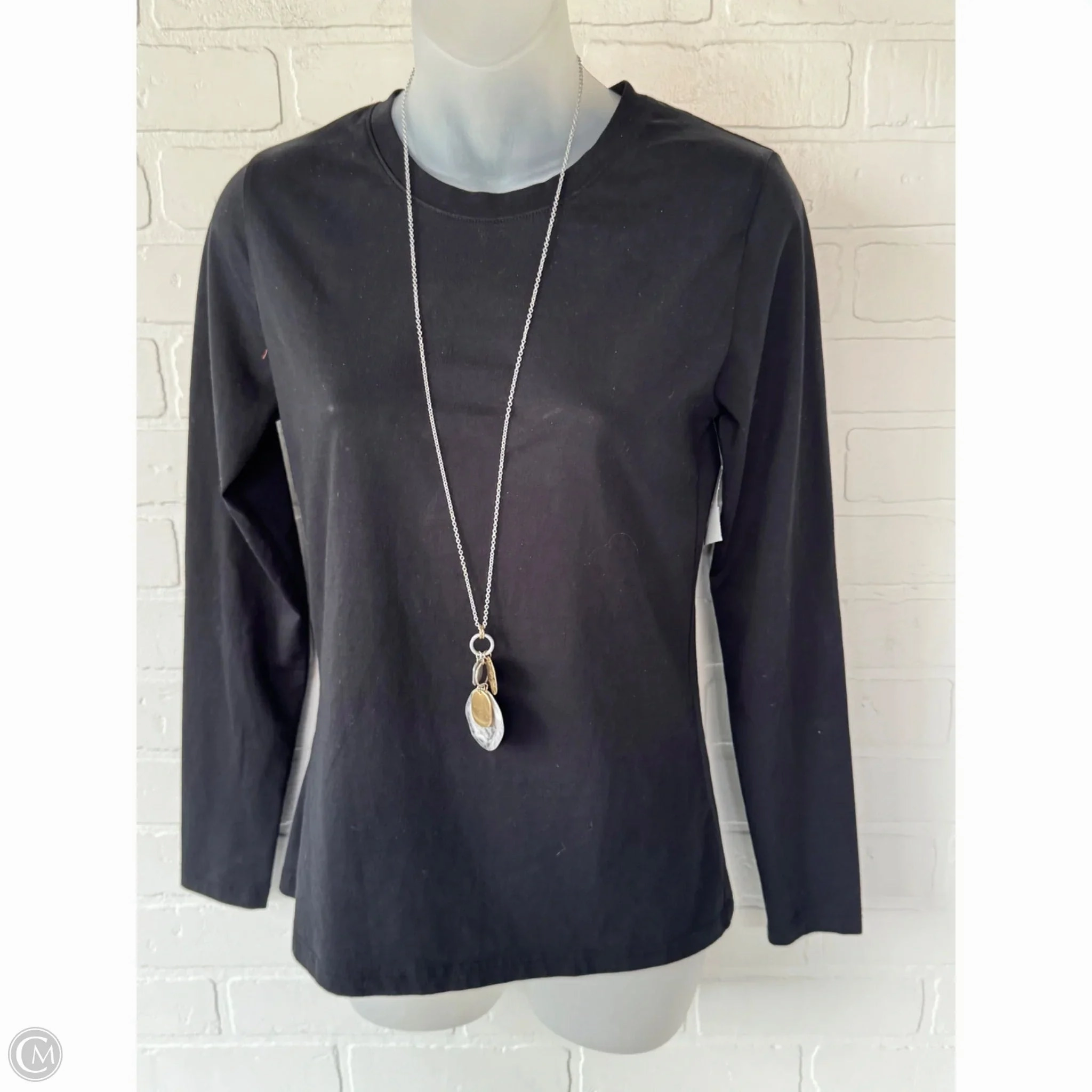 Necklace Pendant By Clothes Mentor