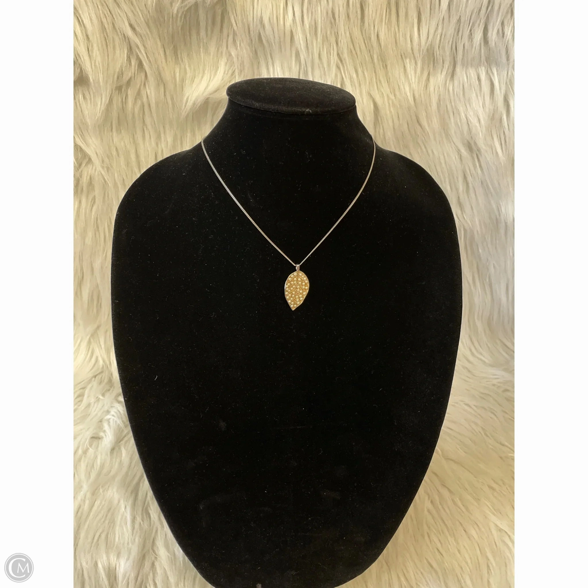 Necklace Pendant By Clothes Mentor