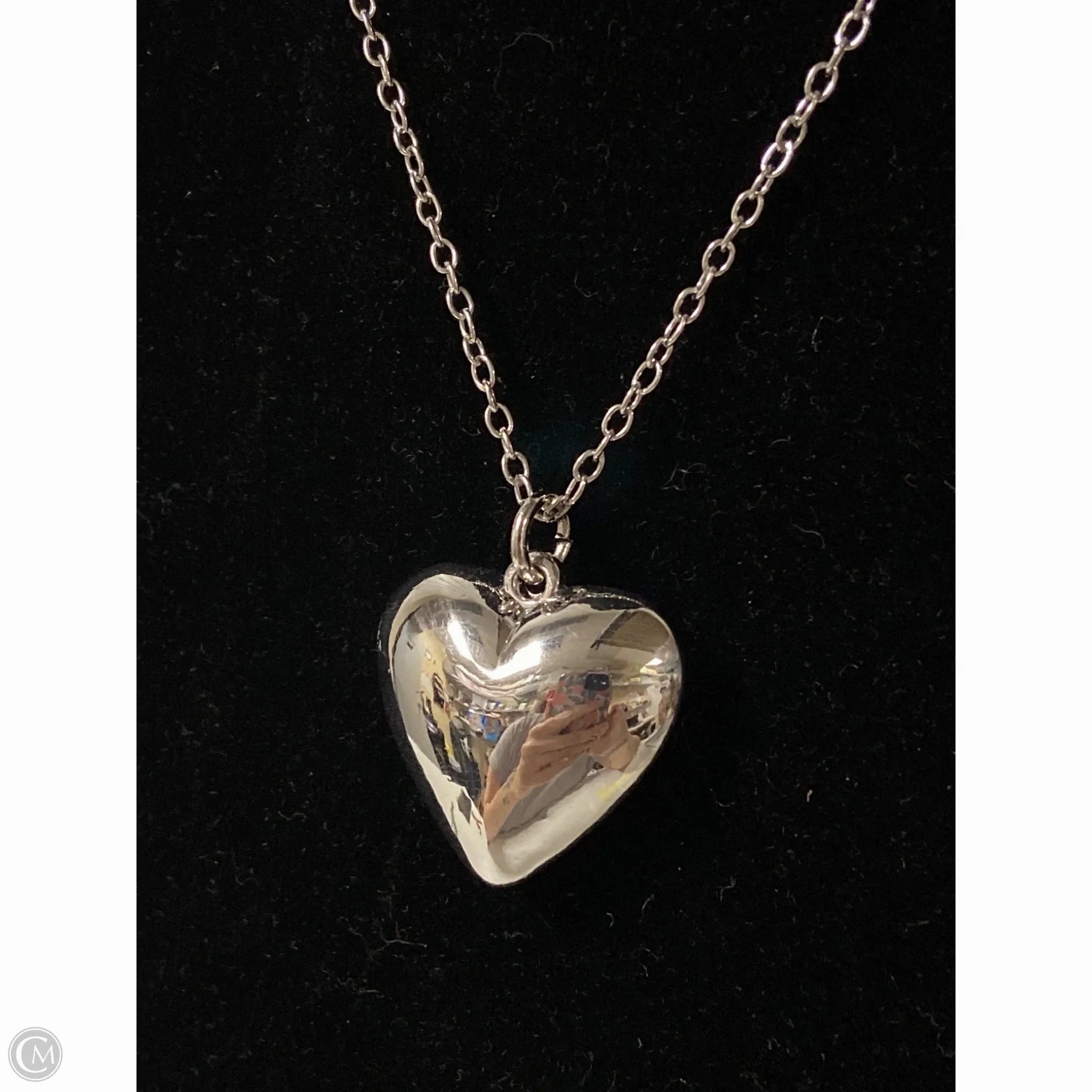Necklace Pendant By Clothes Mentor, Size: 1
