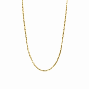 Ti Sento Gold Plated Chain Necklace