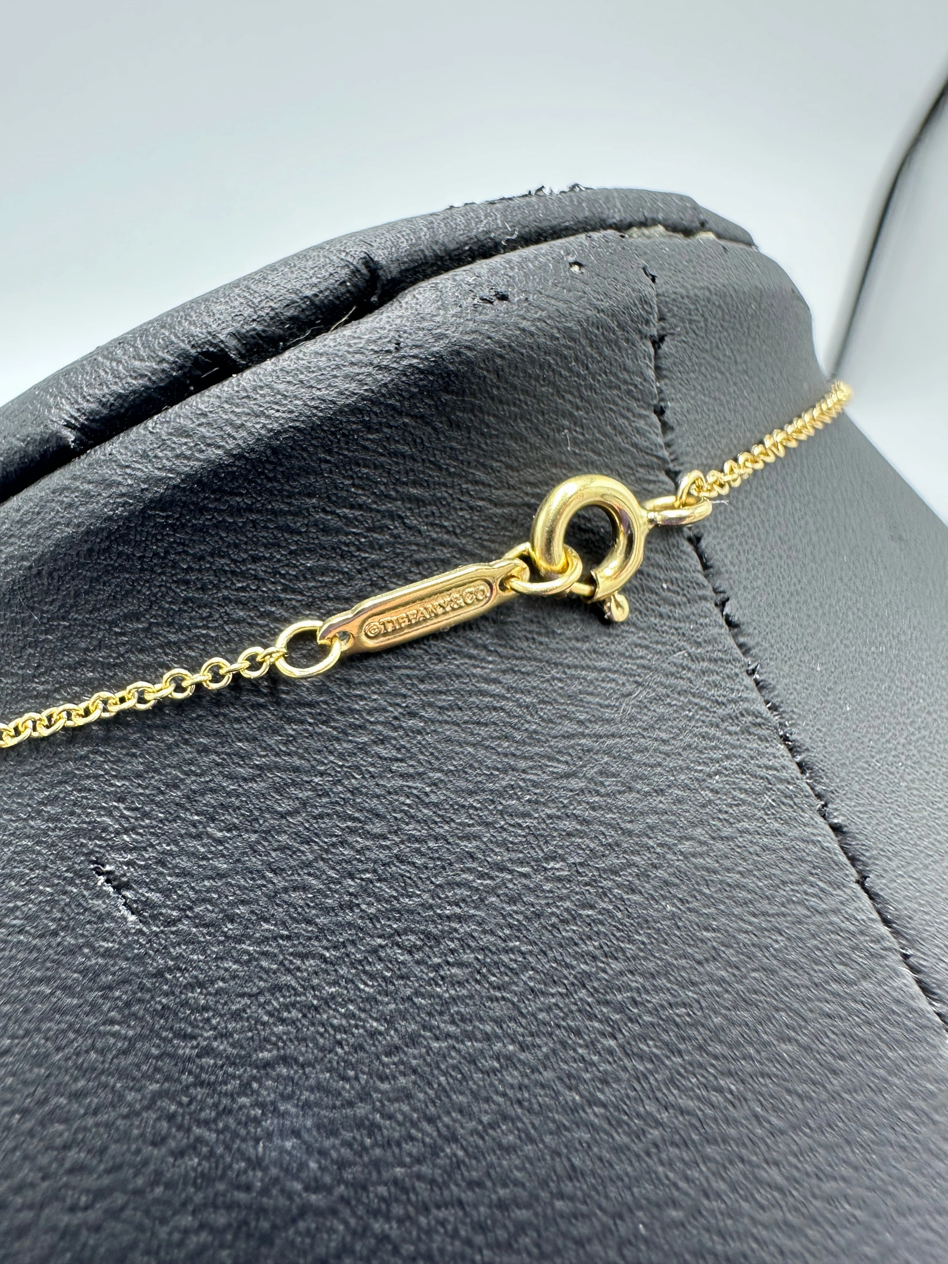 Tiffany & Company 18K Interlocking Circles Designer Luxury Necklace